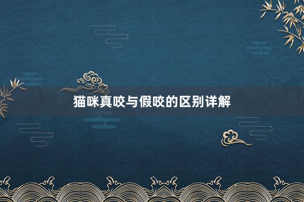 猫咪真咬与假咬的区别详解