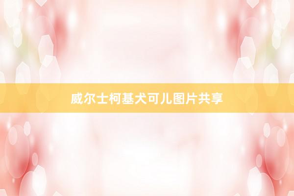威尔士柯基犬可儿图片共享