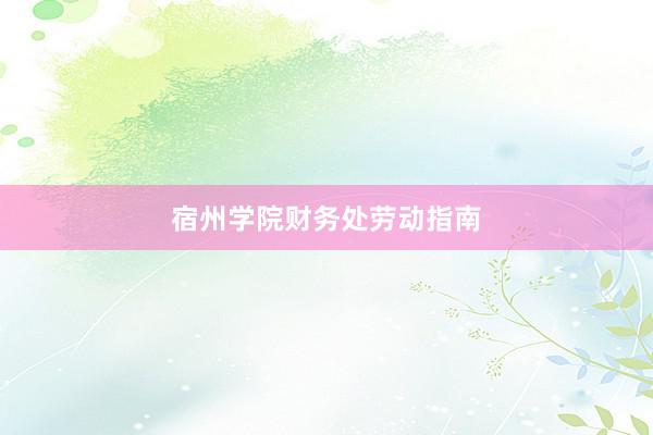 宿州学院财务处劳动指南